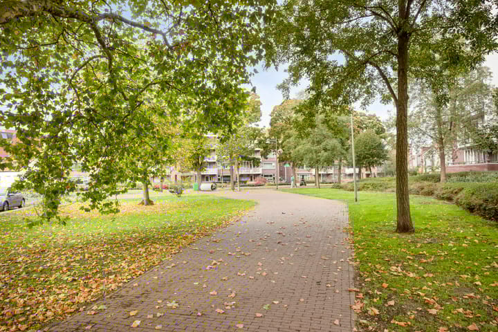 Foto 27 van Bram van den Berghstraat 97