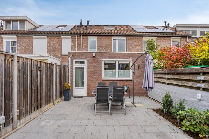 Photo 30 of Faunasingel 29