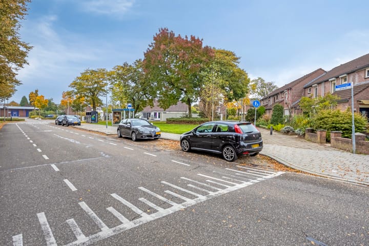 Photo 34 of Faunasingel 29