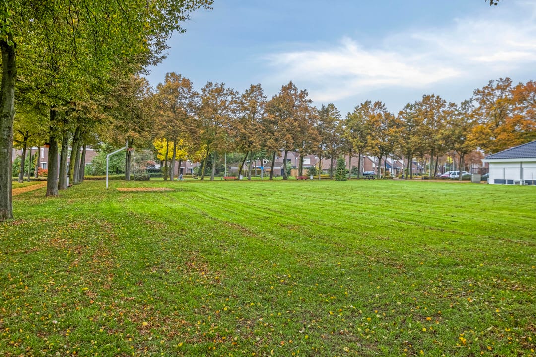 Foto 37 van Faunasingel 29