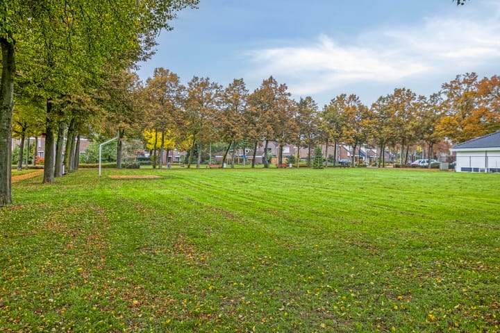 Photo 37 of Faunasingel 29