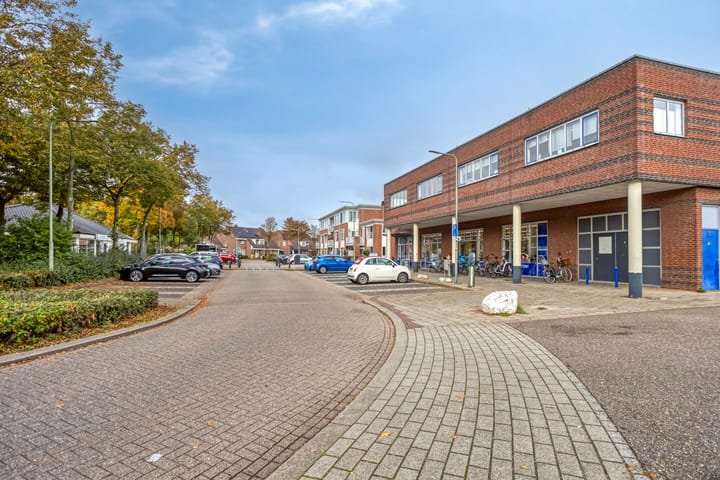 Photo 38 of Faunasingel 29