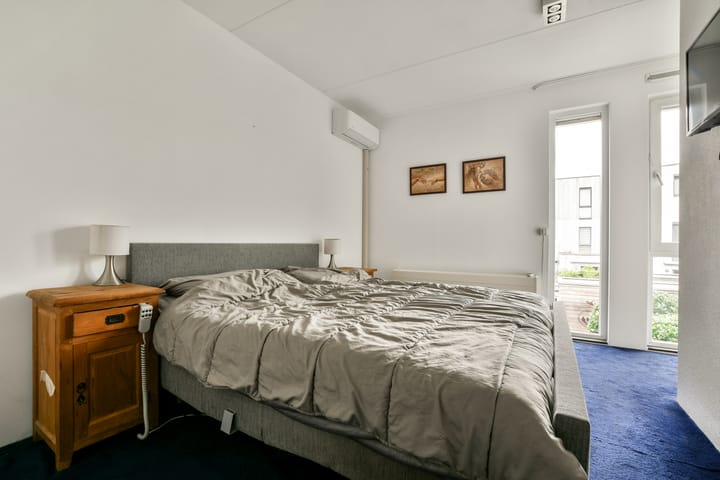 Foto 10 van Valeriaan 11