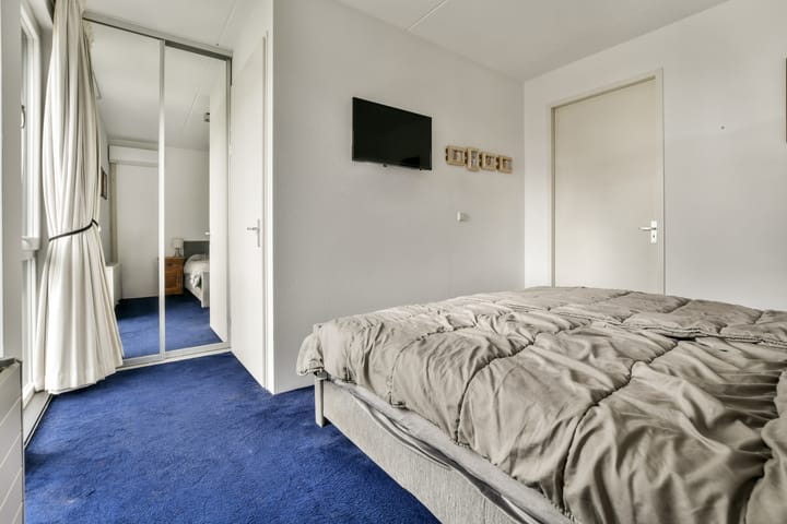 Foto 11 van Valeriaan 11