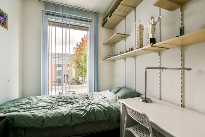 Foto 12 van Valeriaan 11