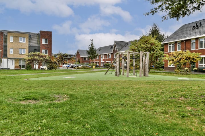 Foto 17 van Valeriaan 11