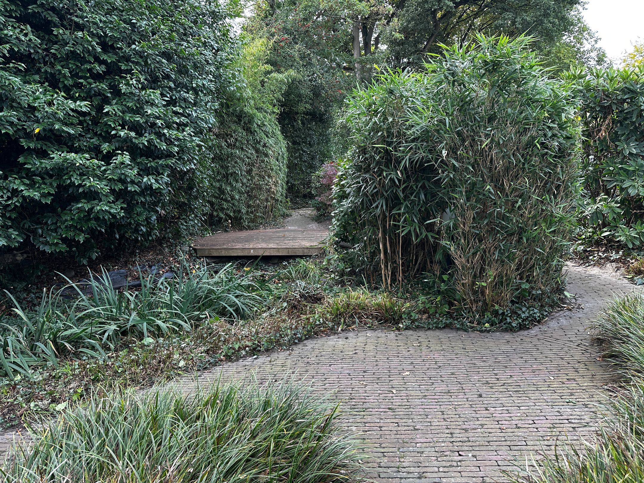 Photo 24 of Sprendlingenstraat 54