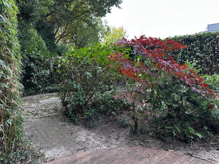 Photo 27 of Sprendlingenstraat 54