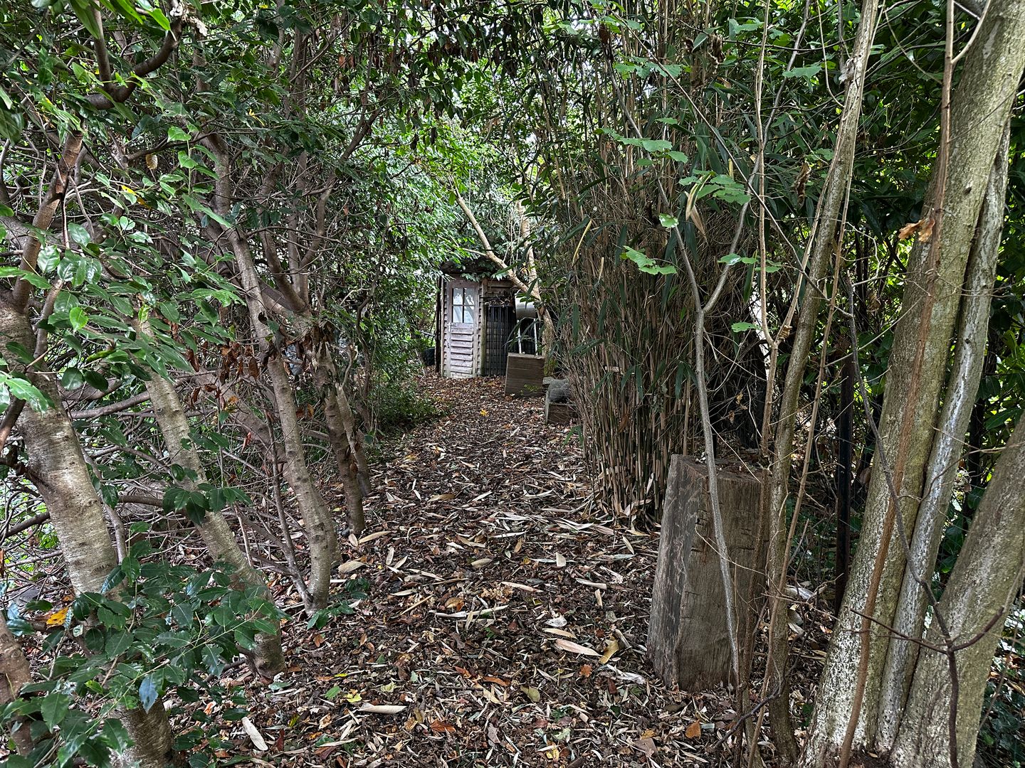 Photo 29 of Sprendlingenstraat 54