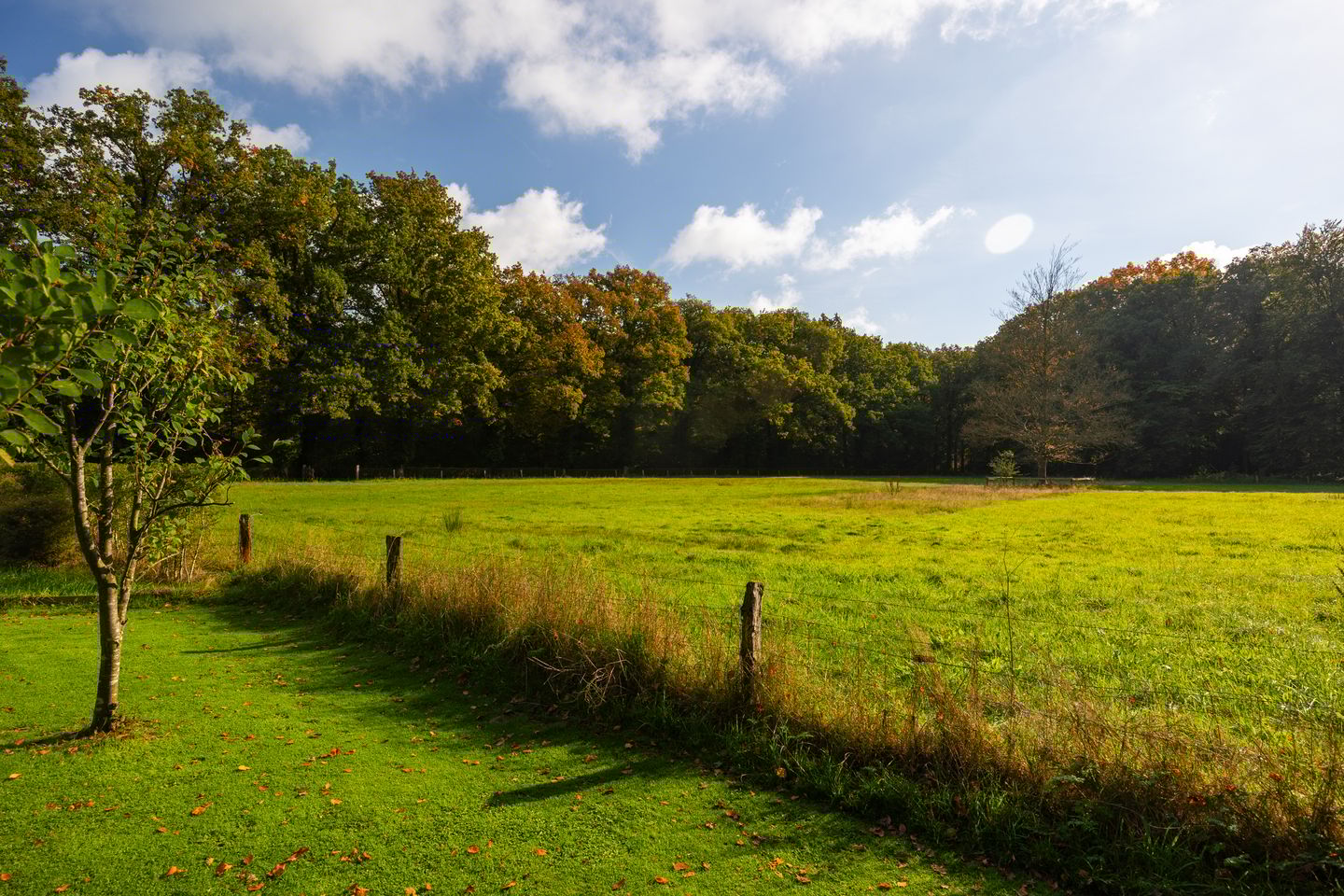 Photo 59 of Heijendaalseweg 2