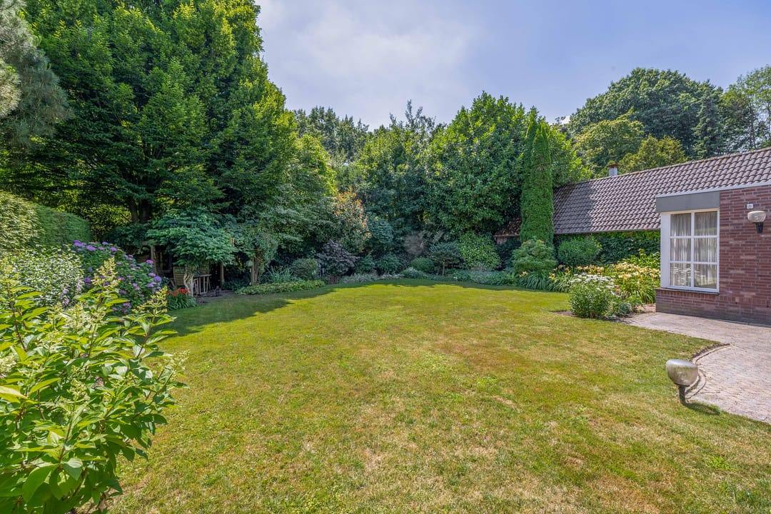 Foto 43 van Sprookjesberg 14