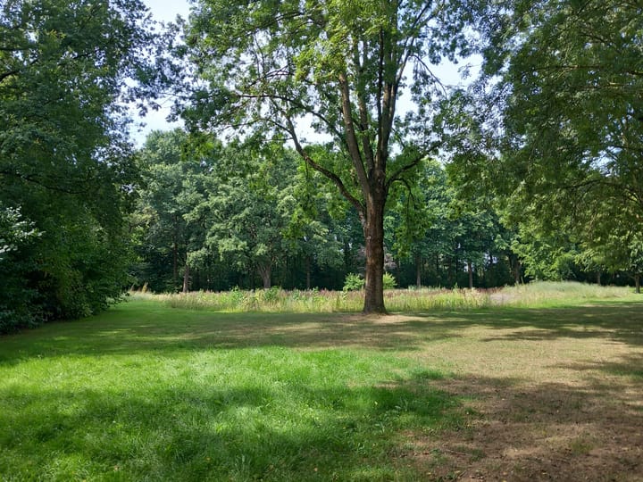 Foto 49 van Sprookjesberg 14