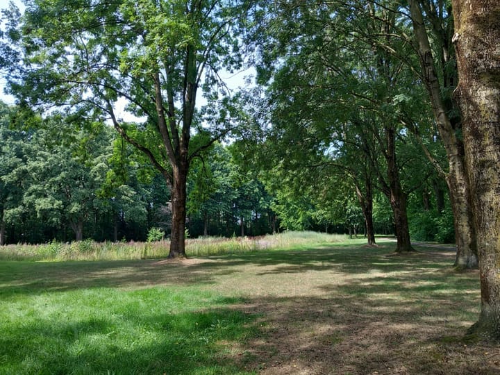 Foto 51 van Sprookjesberg 14