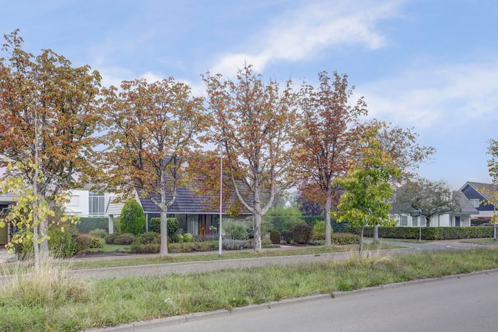 Photo 37 of Noordhoeklaan 8