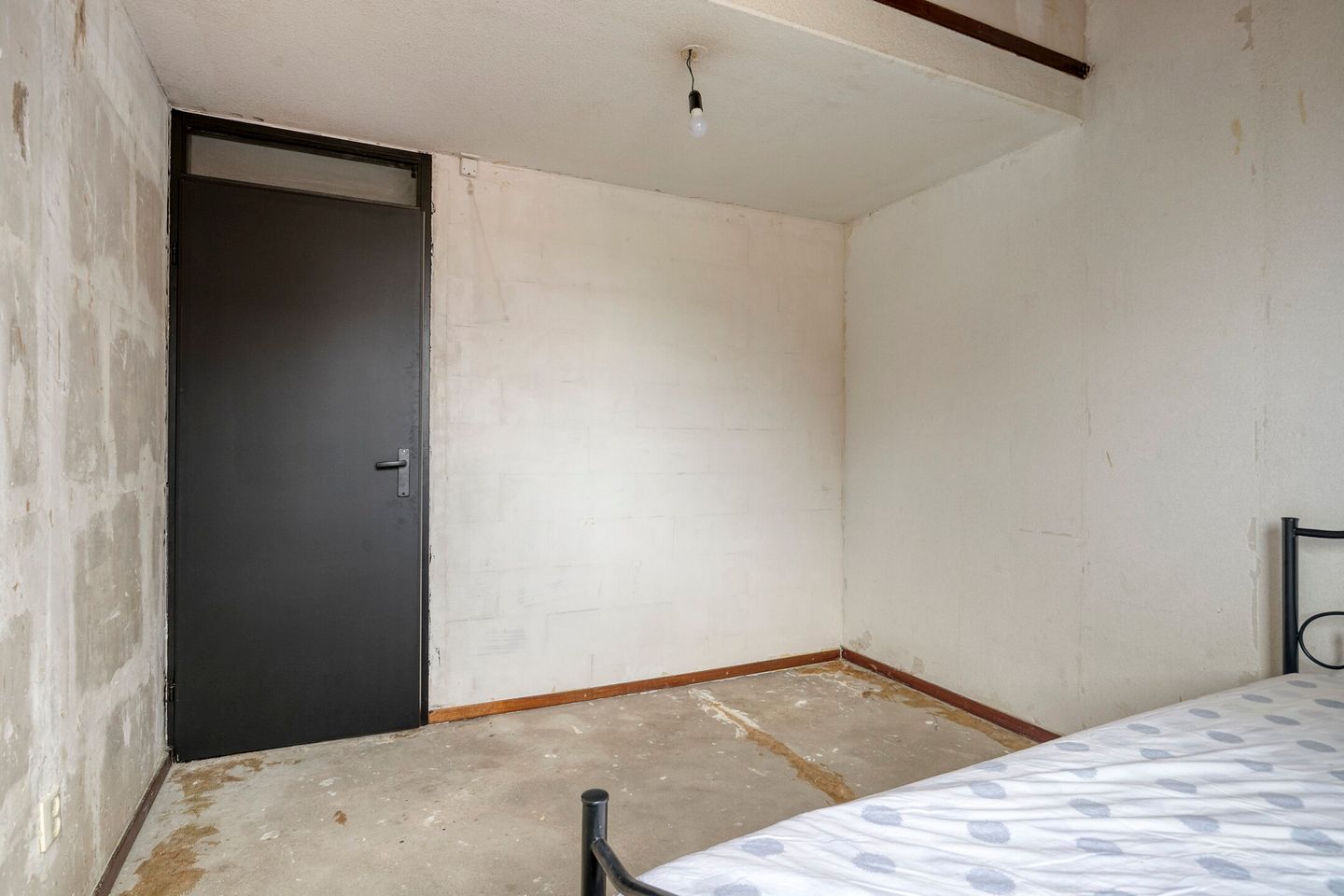 Foto 19 van Punter 32 72