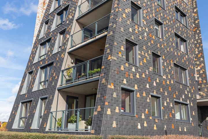 Foto 47 van Het Hoge Licht 9