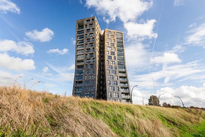 Foto 50 van Het Hoge Licht 9