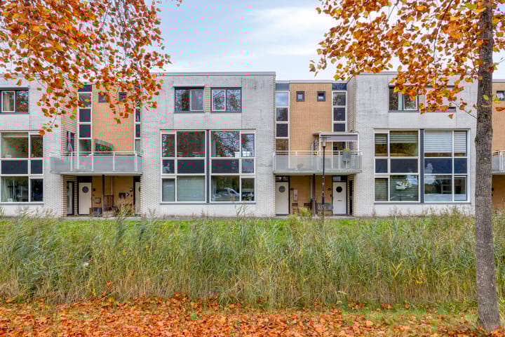 Foto 2 van Weegsteen 6