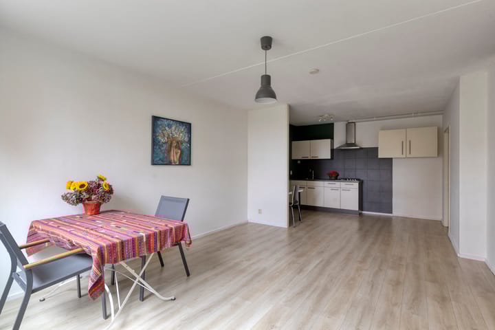 Foto 10 van Weegsteen 6