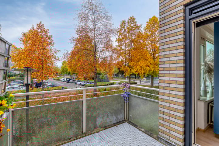 Foto 23 van Weegsteen 6