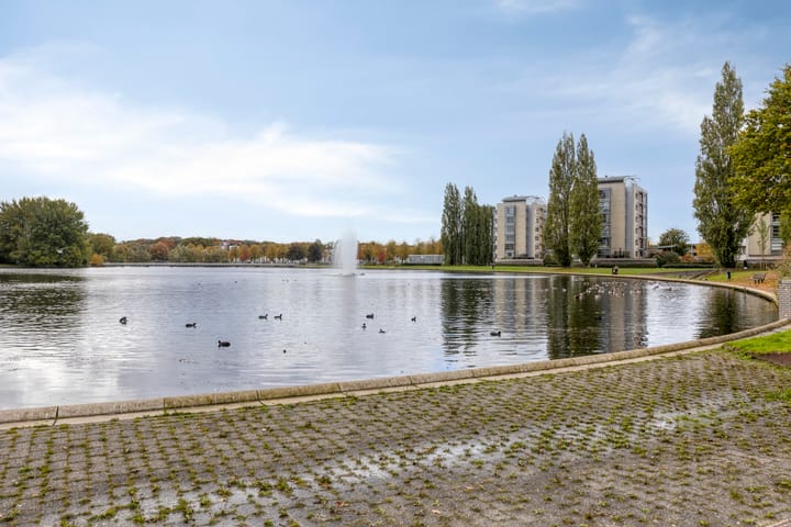 Foto 38 van Weegsteen 6