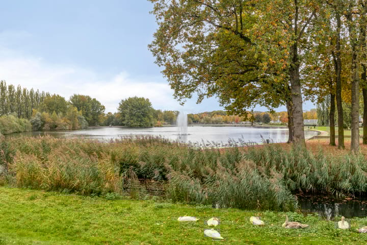 Foto 39 van Weegsteen 6