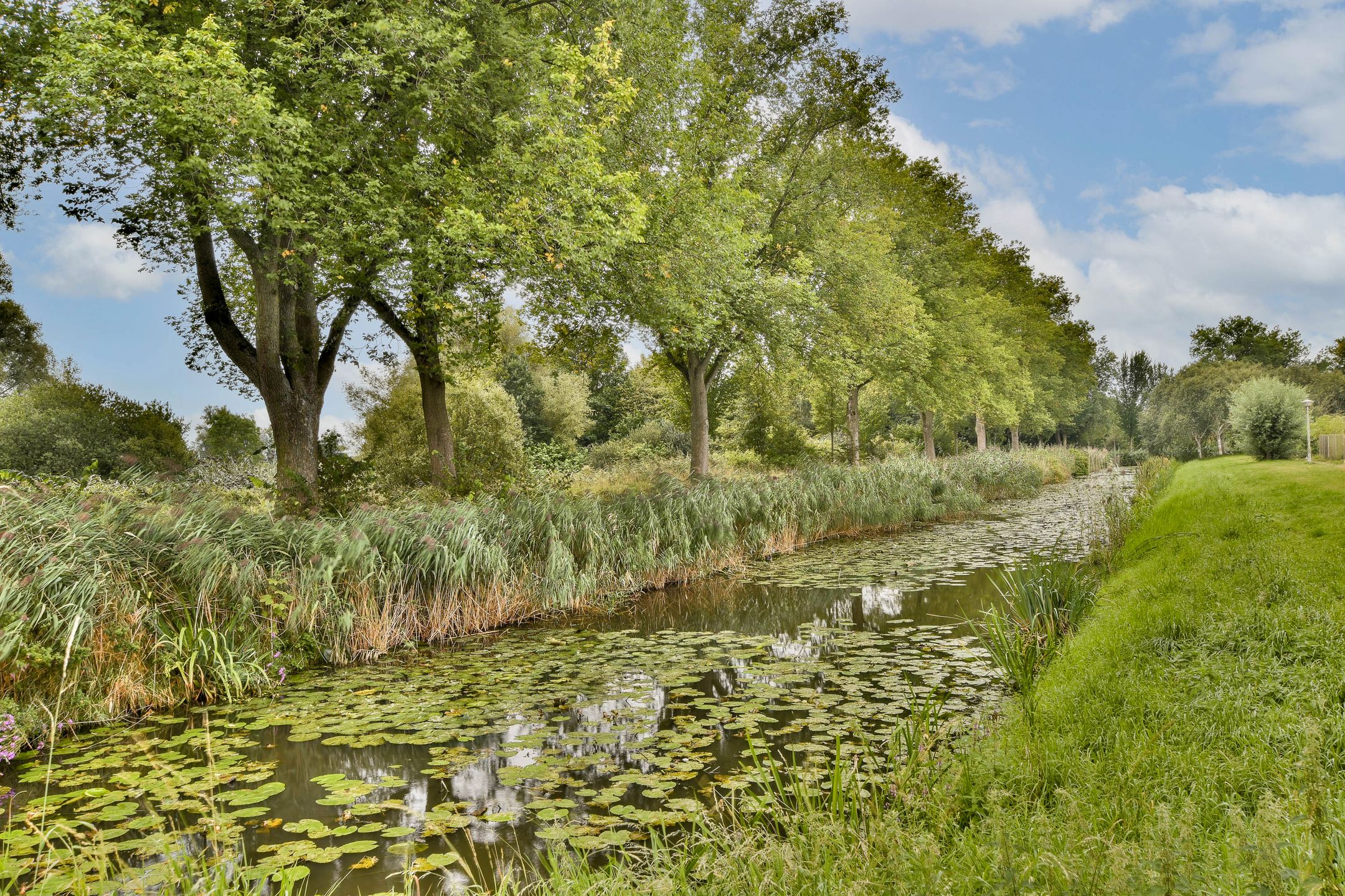 Foto 24 van Spakenburgstraat 19