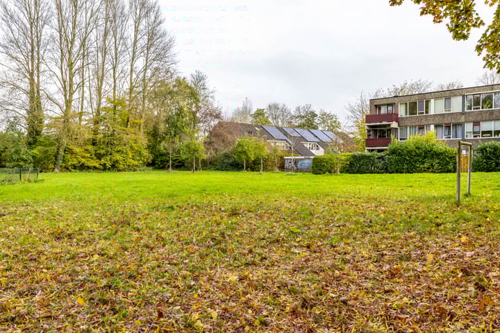 Foto 43 van Gangboord 4