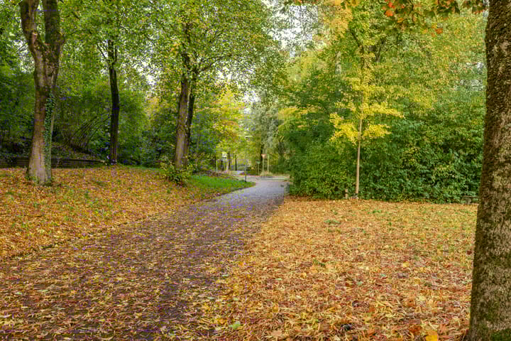 Foto 44 van Gangboord 4