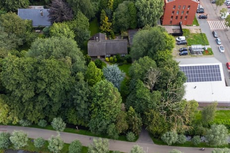 Groenedijk thumbnail