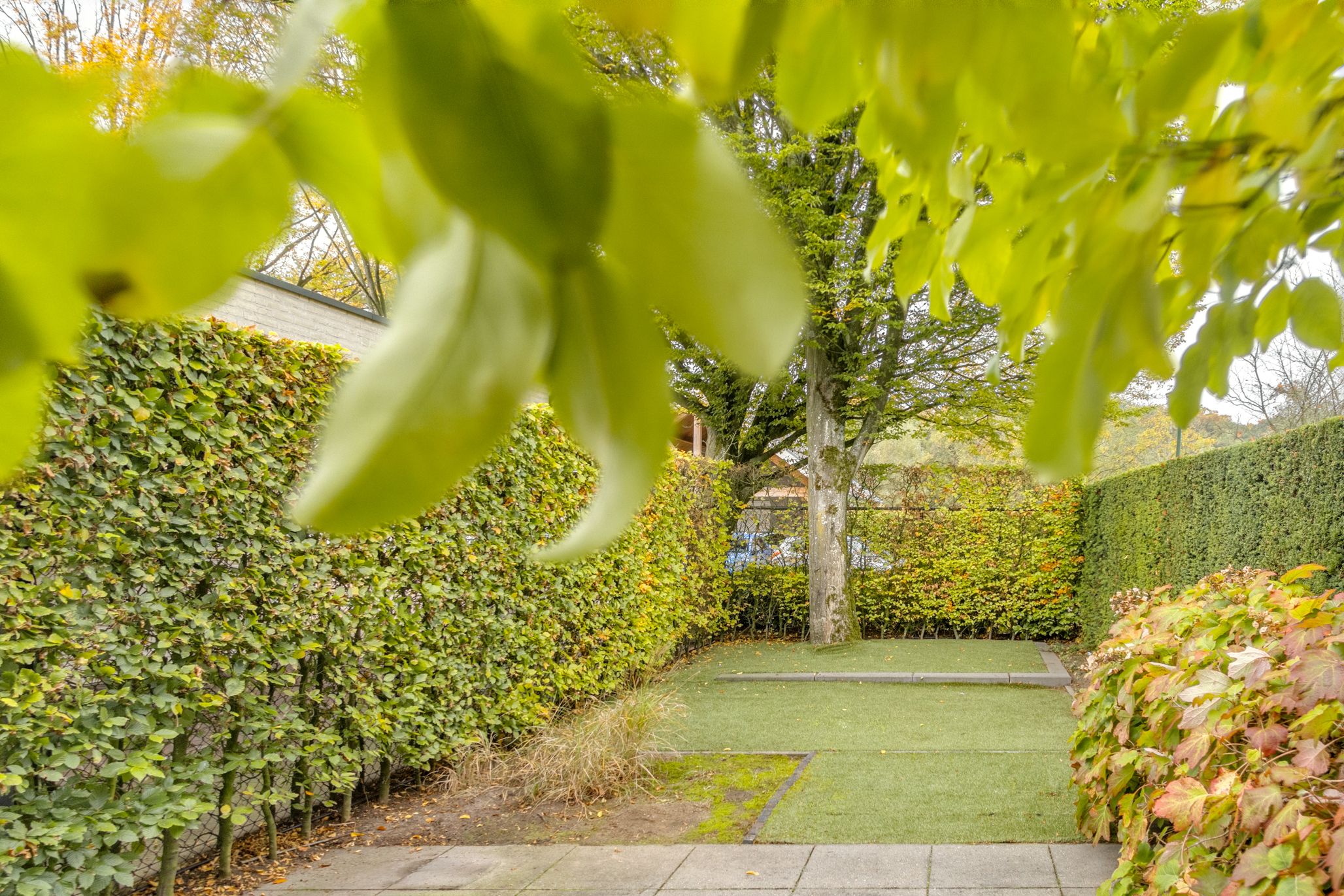 Foto 39 van Heistraat 50