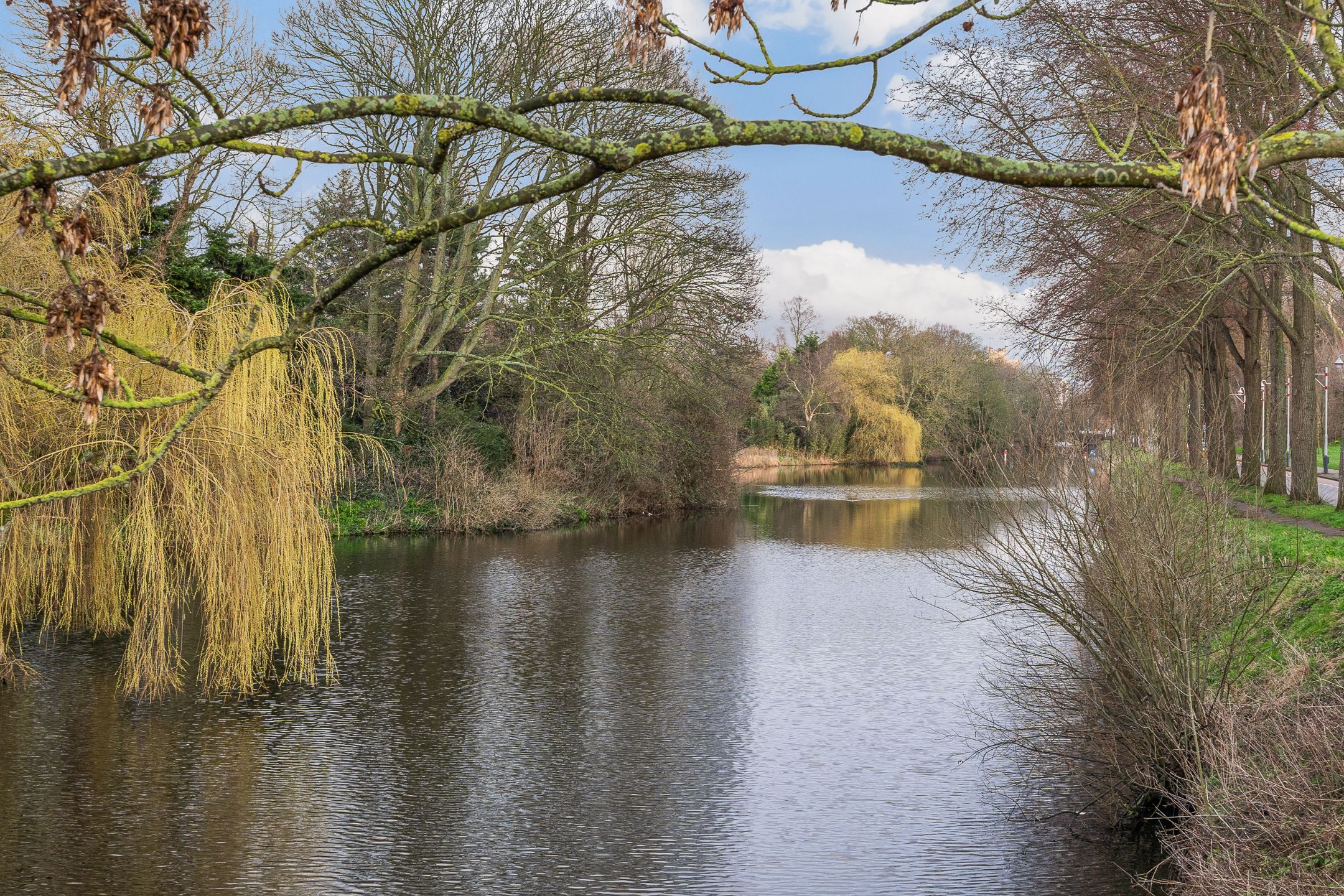 Foto 24 van Willem Beukelszoonstraat 46