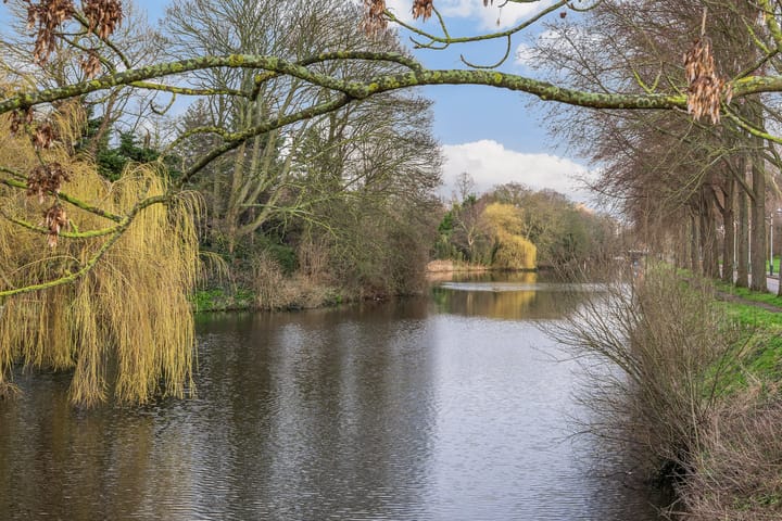 Foto 24 van Willem Beukelszoonstraat 46