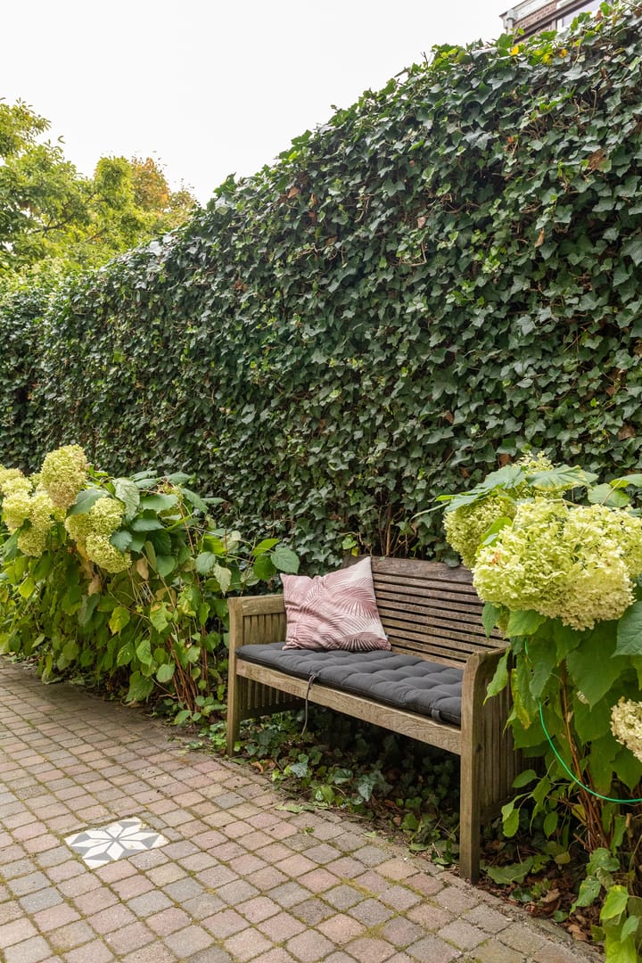 Foto 39 van Adelheidstraat 50