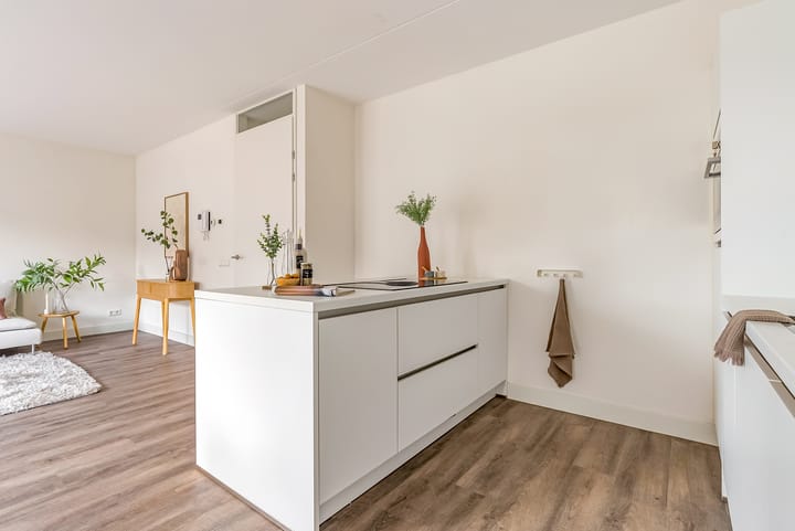 Foto 17 van Homerusplein 64