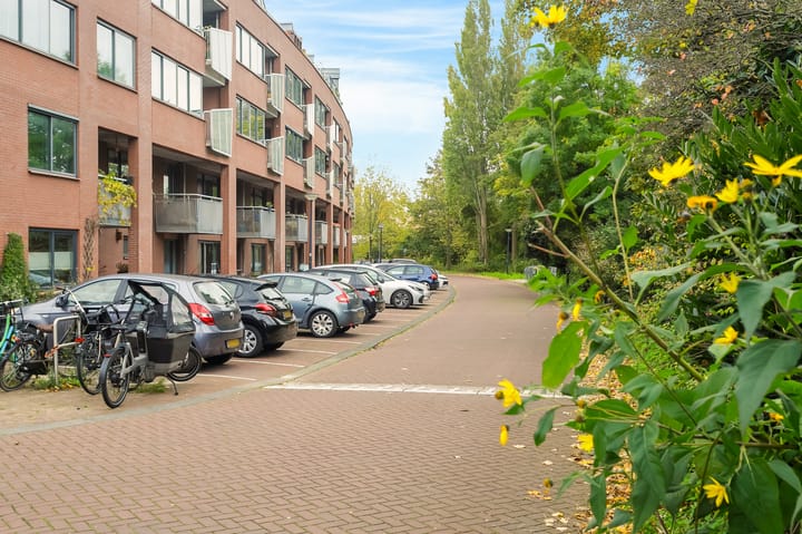 Photo 38 of Celebesstraat 146