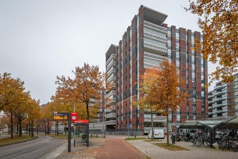 undefined main image