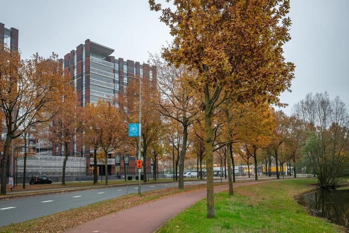 Foto 7 van De Regentesse 88