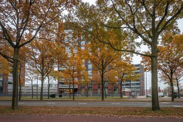 Foto 8 van De Regentesse 88