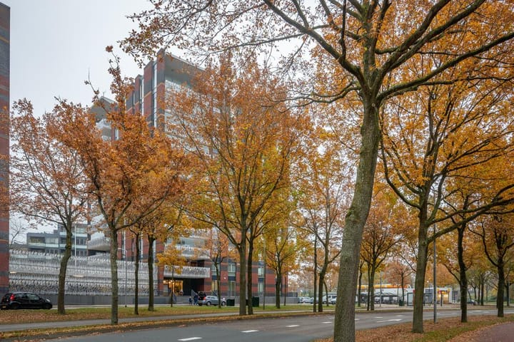 Foto 9 van De Regentesse 88