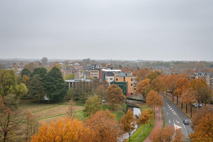 Foto 10 van De Regentesse 88