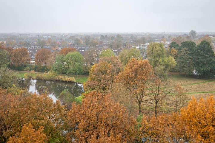 Foto 11 van De Regentesse 88