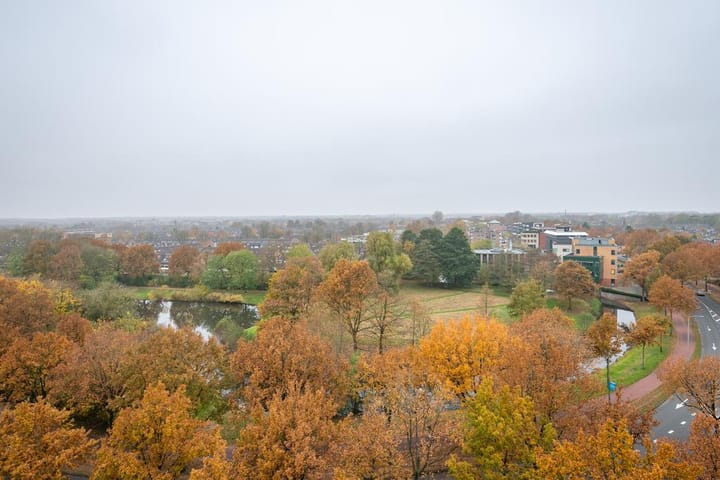 Foto 12 van De Regentesse 88