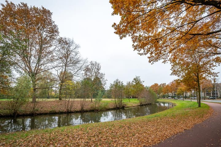 Foto 13 van De Regentesse 88