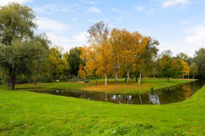 Foto 48 van Bijlwerffstraat 36-B