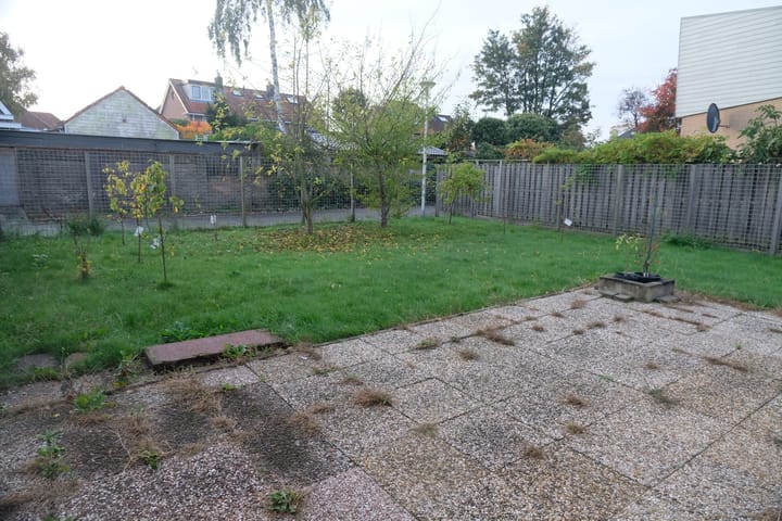 Foto 10 van Spartaveld 80