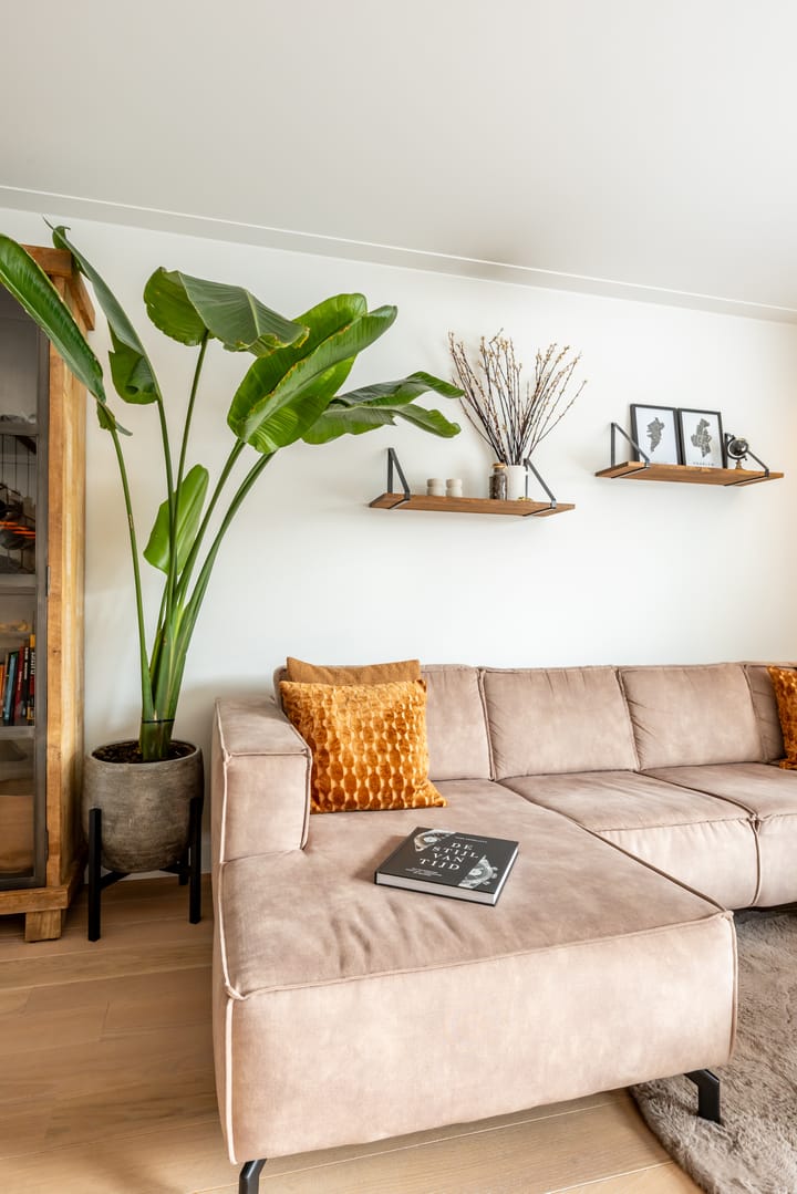 Foto 10 van Rossinilaan 13