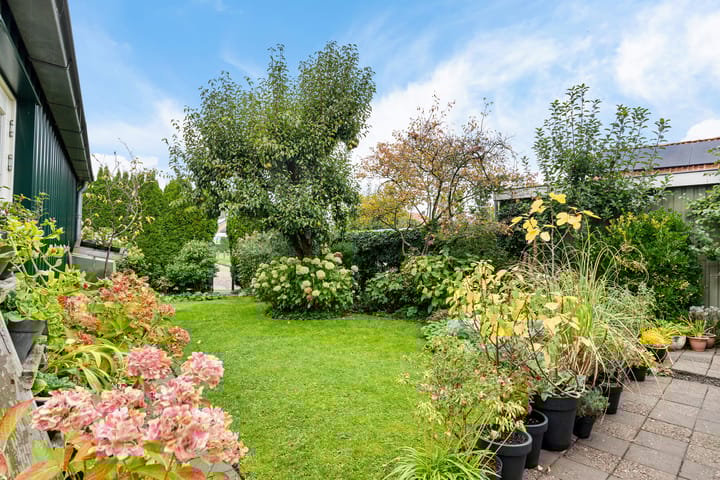 Photo 30 of Hottingawei 16