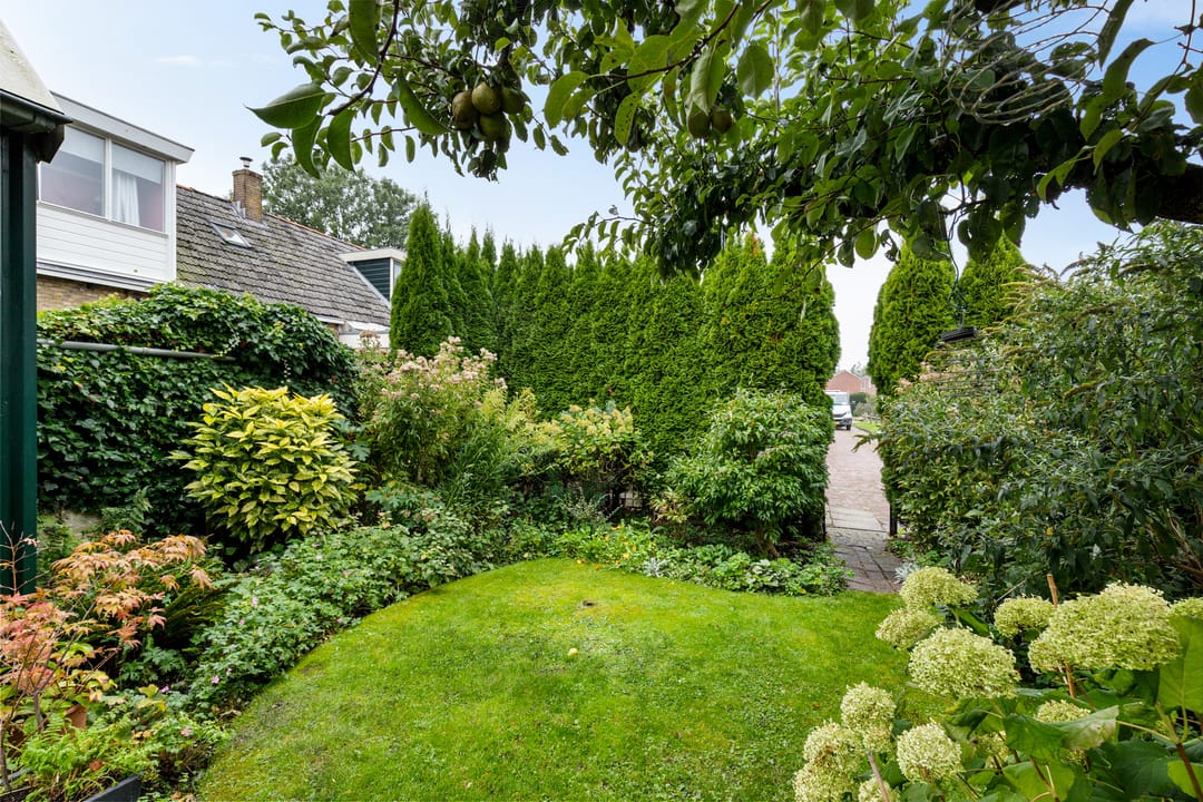 Photo 32 of Hottingawei 16