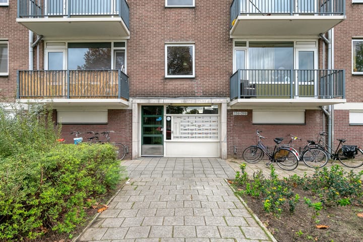 Foto 21 van Maassingel 384